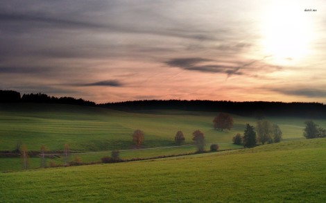 10191-green-fields-at-dusk-1680x1050-nature-wallpaper