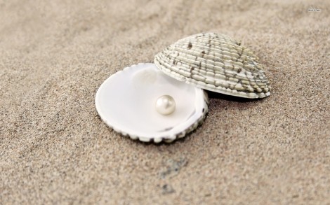 11894-pearl-in-a-shell-1680x1050-photography-wallpaper