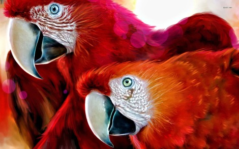 3646-scarlet-macaw-1680x1050-animal-wallpaper