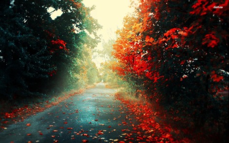 4349-road-through-the-woods-1680x1050-artistic-wallpaper