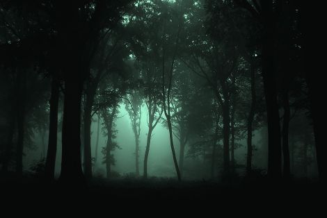 Gloomy_Forest